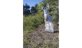 Bring the Wild to Your Yard with Realistic Deer Cutouts | Enhance Your Outdoor Space