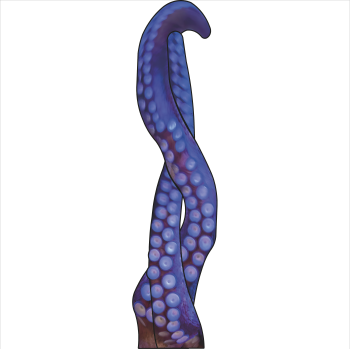 Cthulhu Octopus Lovecraft Tentacle Cardboard Cutout -$0.00