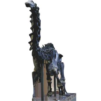 Brontosaurus Skeleton Jurassic Era Long Neck Dinosaur Cardboard Cutout -$0.00
