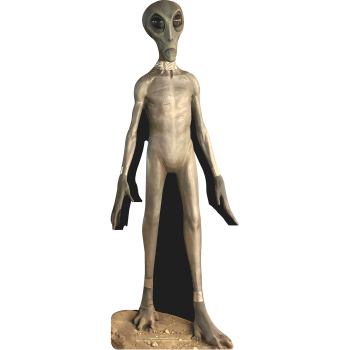 Roswell New Mexico Grey Ancient Alien Extra Terrestrial Zeta Reticulan Cardboard Cutout Standup Standee