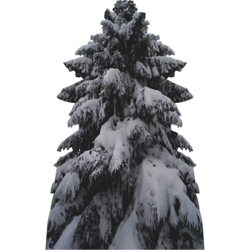 Snow Covered Evergreen Tree Winter Cardboard Cutout Standee Standup -$0.00