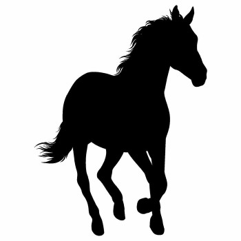 Horse Running Silhouette 60x45