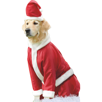 Christmas Santa Holiday Golden Retriever Dog Cardboard Cutout Standee Standup