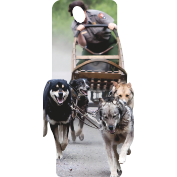 Dog Sled Rider Race Snow Dogs Desert Dogs Sleigh Stand In -$0.00