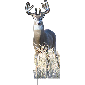 Nature White Tail Buck Deer Hunting Grass Outdoor Yard Decoration Cutout -$14.99