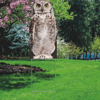 Owl Plastic Outdoor Yard Sign Decoration Cutout -$14.99