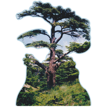 Cedars of God Lebanon Tree Famous Trees Cardboard Cutout Standee Standup -$0.00