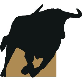SP12745 Lifesize Charging Bull 72x80 Inch Ranch Rodeo Silhouette Cardboard Cutout Standup Standee -$0.00