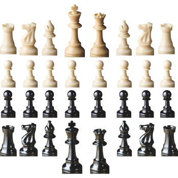 SP12774 Chess 32 Piece Whole Set 1-2ft scale Cardboard Cutouts Standups Standees -$0.00