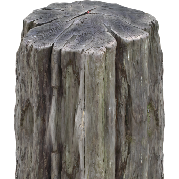 SP12810 Wood Log Tree Stump Cardboard Cutout Standup Standee -$0.00