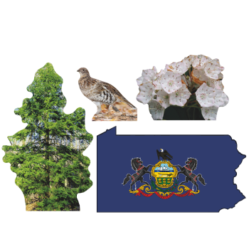 Pennsylvania State Tree Flower Bird Cardboard Cutout Pack Standee Standup - $0.00