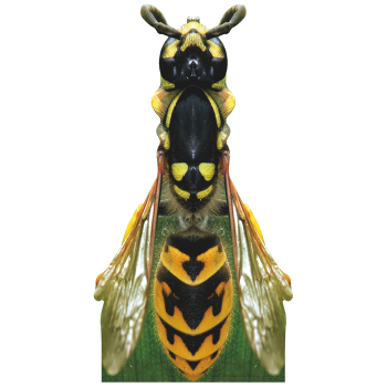 Giant 88 inch Wasp Cardboard Cutout Standee Standup -$0.00