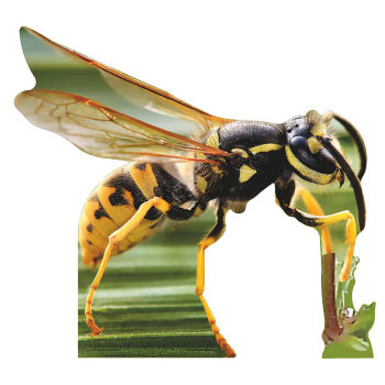 Giant 44 inch Wasp Cardboard Cutout Standee Standup