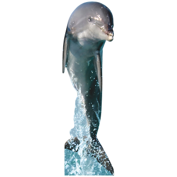 Dolphin Jumping Water Tall Cardboard Cutout Standee Standup