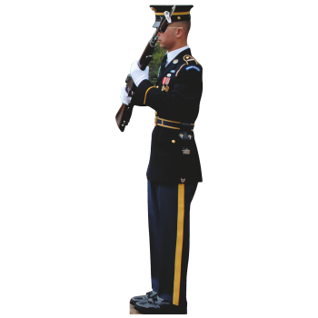 US Army Honor Guard Rifle Tomb Unknown Soldier -$0.00