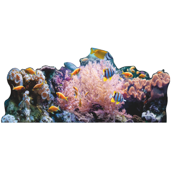 Coral Reef Ocean Floor Backdrop Cardboard Cutout Standee Standup - $0.00