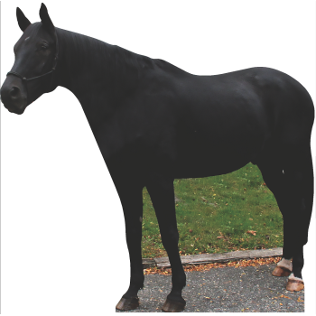 Lifesize Black Horse