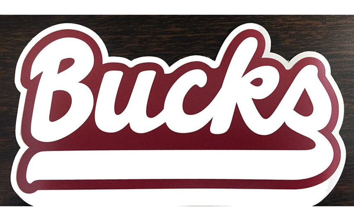 Bumper Stickers