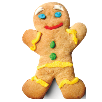Gingerbread Man with Icing - $39.99