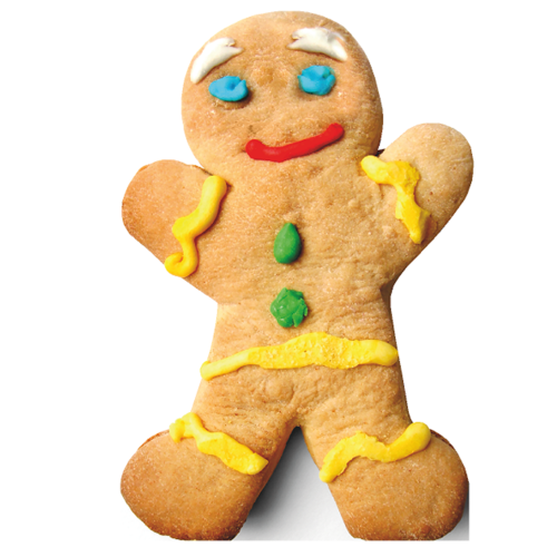 Gingerbread Man with Icing