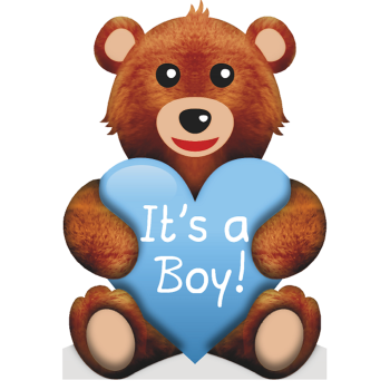 It's a Boy Teddy Bear Baby Shower -$49.99