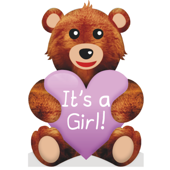 It's a Girl Teddy Bear Baby Shower - $49.99