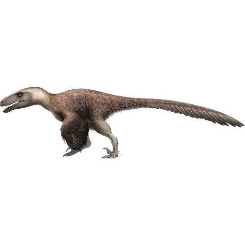 Utahraptor Realistic Bird-like Velociraptor Jurassic