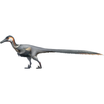 Austroraptor Realistic Bird-like Velociraptor Jurassic - $49.99