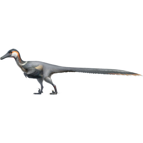 Austroraptor Realistic Bird-like Velociraptor Jurassic