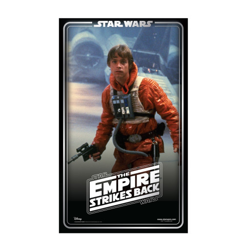 Luke Skywalker Backdrop (Star Wars 40th Empire Strikes Back)