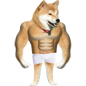 Swole Strong Dog Meme -$53.99