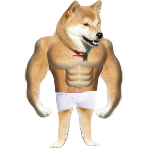 Swole Strong Dog Meme