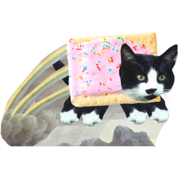 Nyan Cat -$53.99