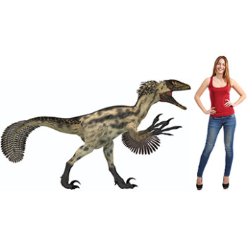 Deinonychus Dinosaur Cardboard Cutout - $64.99