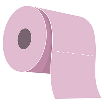 Womens Bathroom Toilette Paper Cardboard Cutout - $39.95