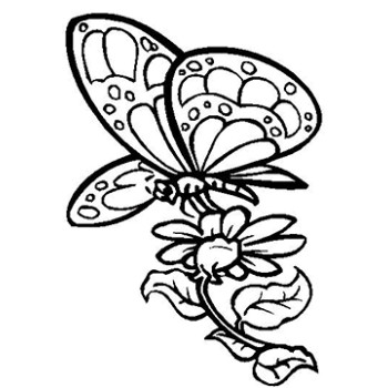 Butterfly 2 Cardboard Coloring Cutout - $14.99