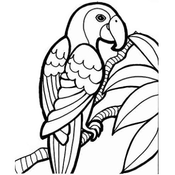 Colorful-Parrot Cardboard Coloring Cutout - $14.99