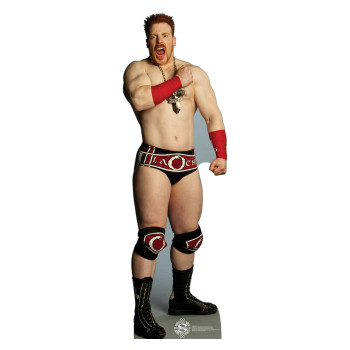 Sheamus WWE Cardboard Cutout -$49.95