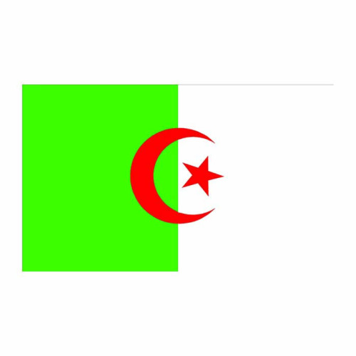Algeria Flag Cardboard Cutout