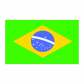 Brazil Flag Cardboard Cutout -$0.00