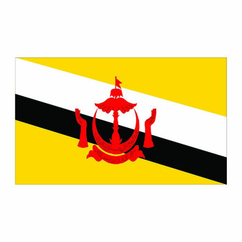Brunei Flag Cardboard Cutout -$0.00