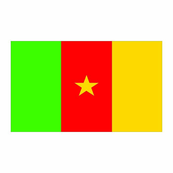 Cameroon Flag Cardboard Cutout -$0.00