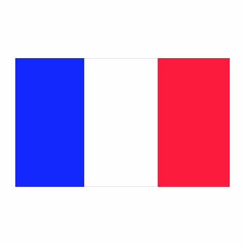 France Flag Cardboard Cutout -$0.00