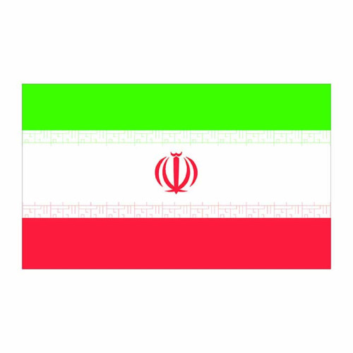 Iran Flag Cardboard Cutout