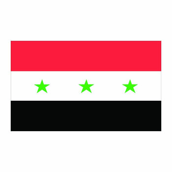 Iraq Flag Cardboard Cutout -$0.00