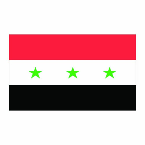 Iraq Flag Cardboard Cutout
