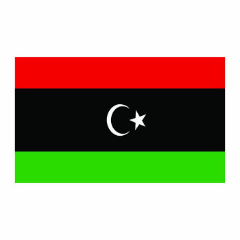 Libya Flag Cardboard Cutout - $0.00