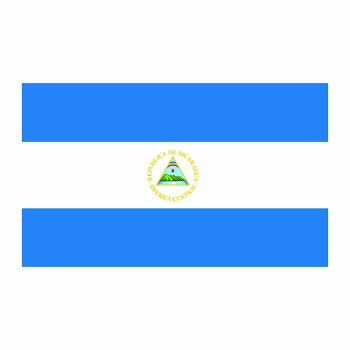 Nicaragua Flag Cardboard Cutout -$0.00