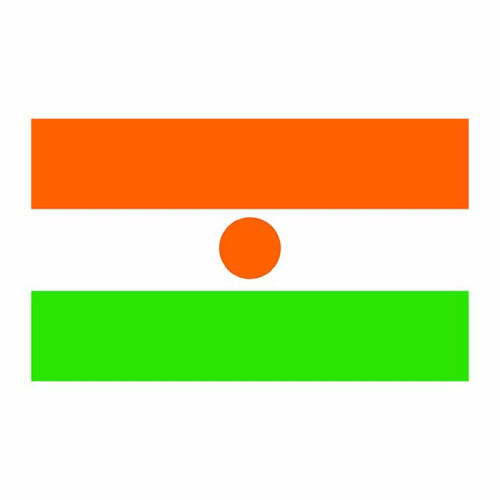Niger Flag Cardboard Cutout