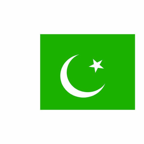 Pakistan Flag Cardboard Cutout